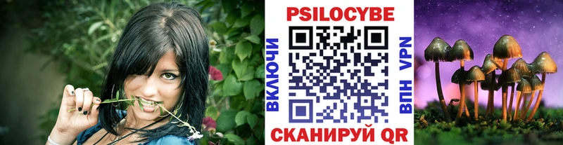 Галлюциногенные грибы Psilocybe  Купить где  Железноводск 