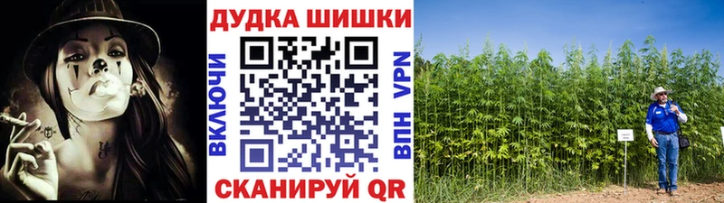 Купить  Железноводск  Шишки марихуана марихуана 